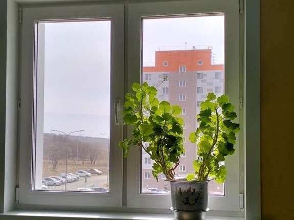 В островном регионе стартовал новый сезон конкурса «Подъезд образцового содержания».